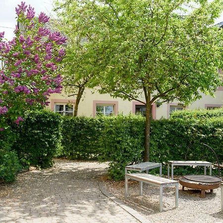 Nengshof Ferienwohnungen Mohnblume Und Kornblume Wissmannsdorf Luaran gambar