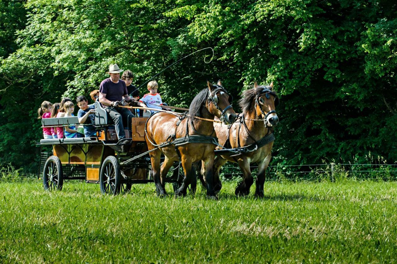 Nengshof Ferienwohnungen Mohnblume Und Kornblume Wissmannsdorf Luaran gambar